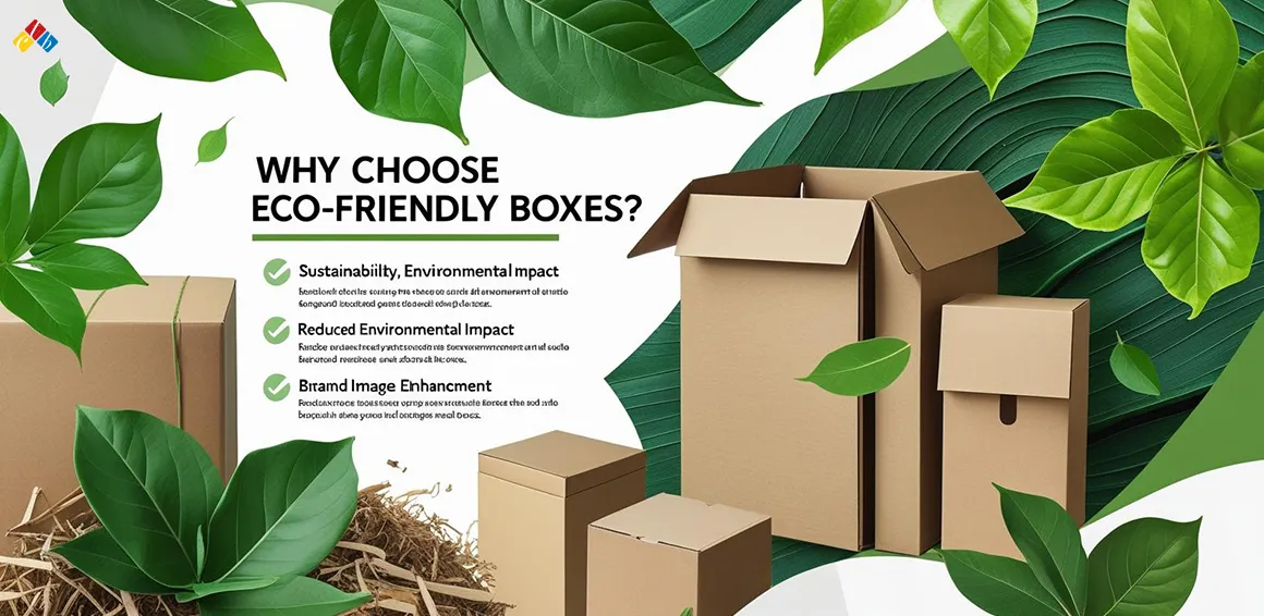 Why Choose Eco Friendly Boxes The Custom Boxes